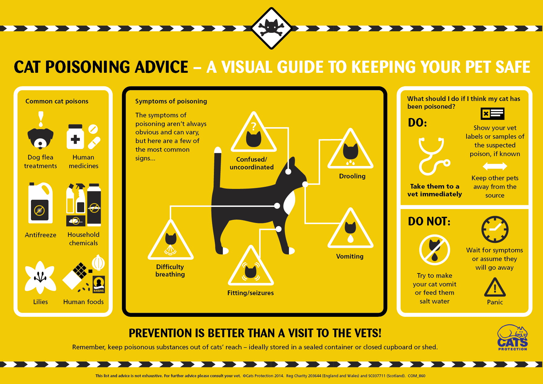 Cats Protection Poisoning Infographic