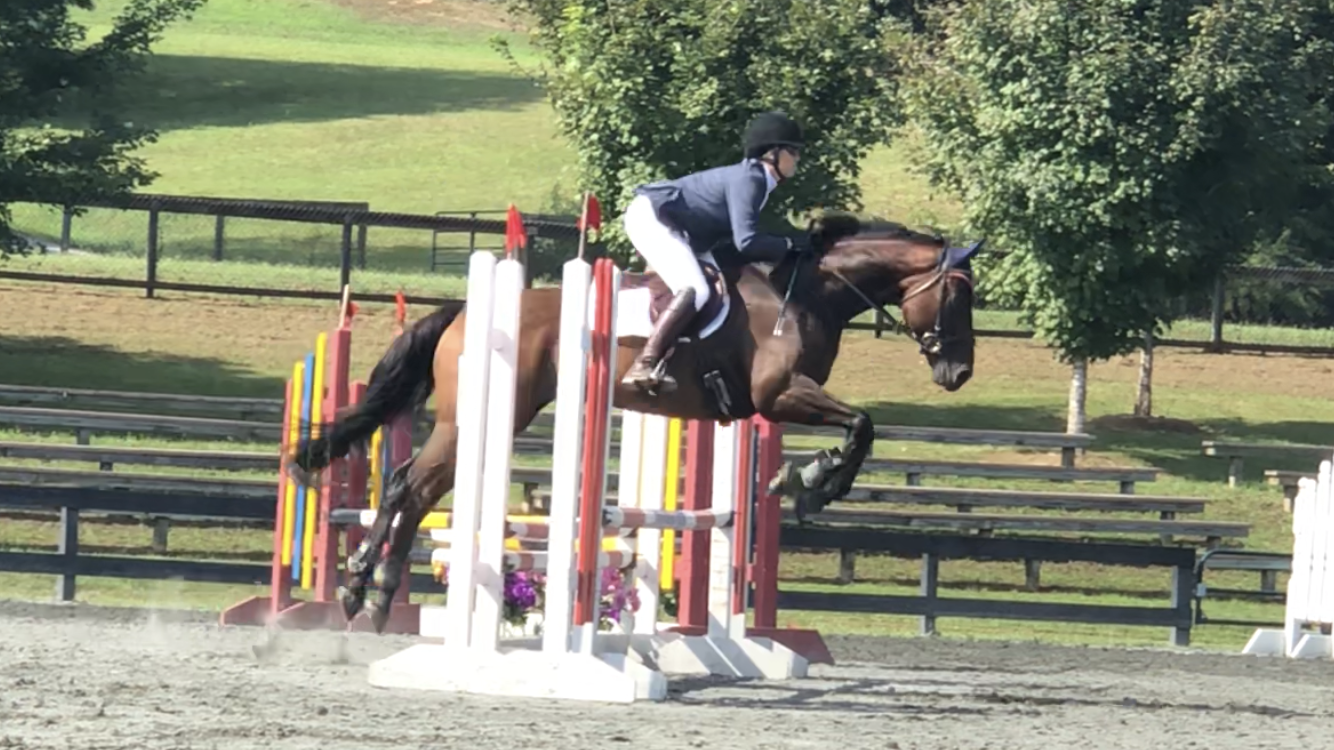 Riding Academy & Boarding Farm in Powder Springs