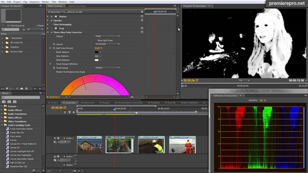 Color grading and finishing in Premiere Pro CS5.5