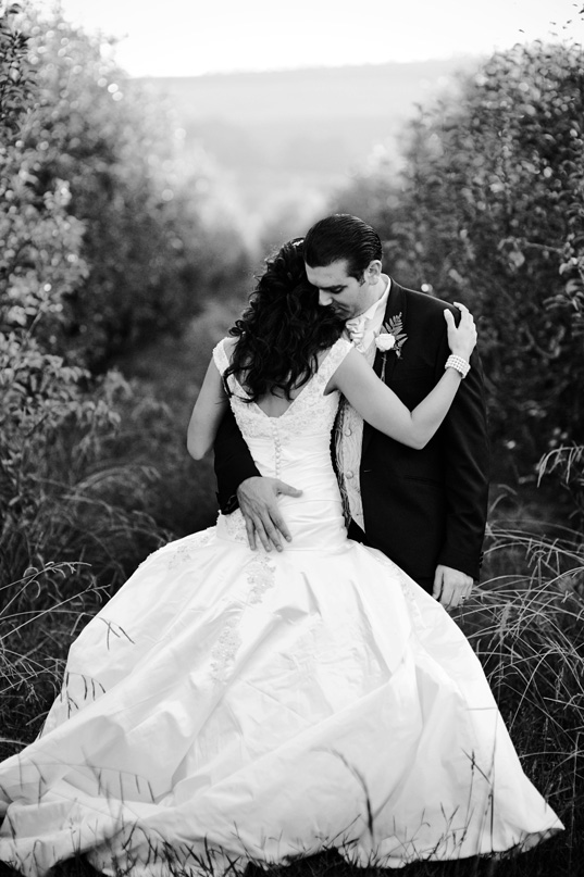 Pin by Jessica Johansen on soft & beautiful Wedding