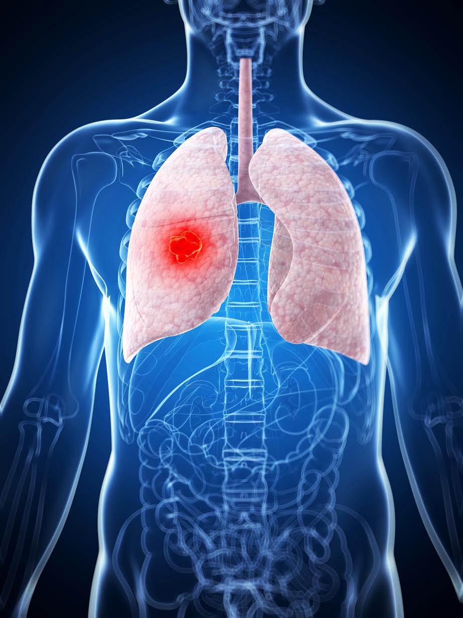 Revista es, Ejercicio y Salud Todo lo que debe saber