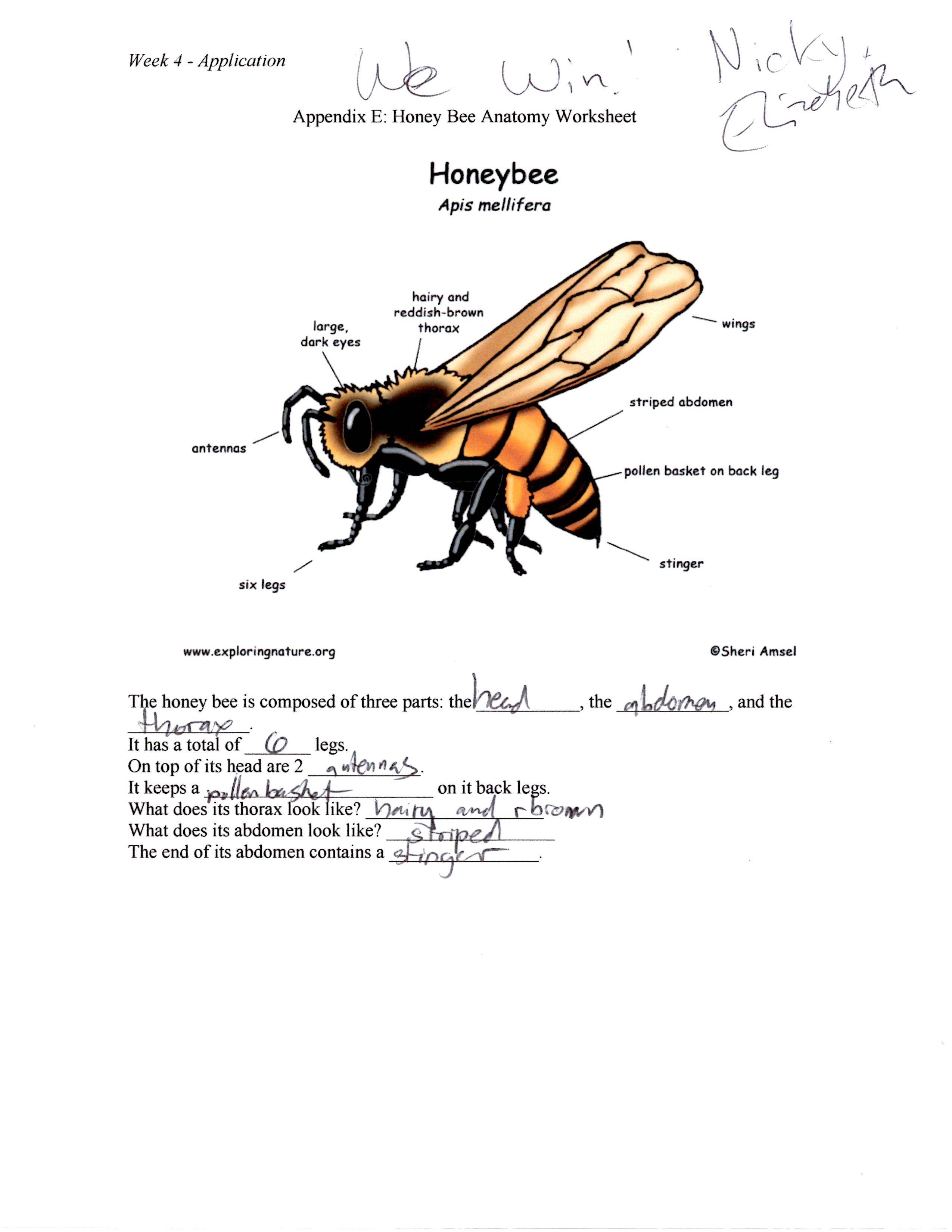 301 Moved Permanently