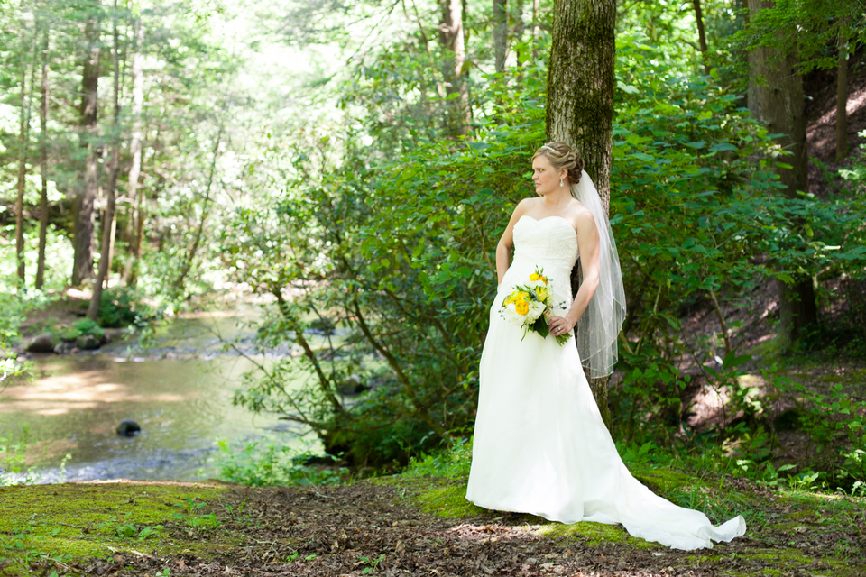 Getting Married At A State Park Rustic Wedding Chic