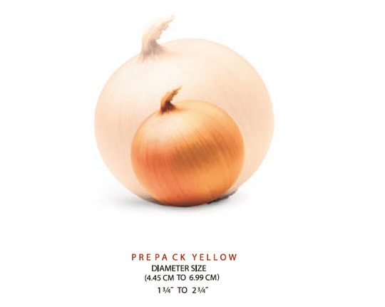 The Ins and Outs of Onion Sizes