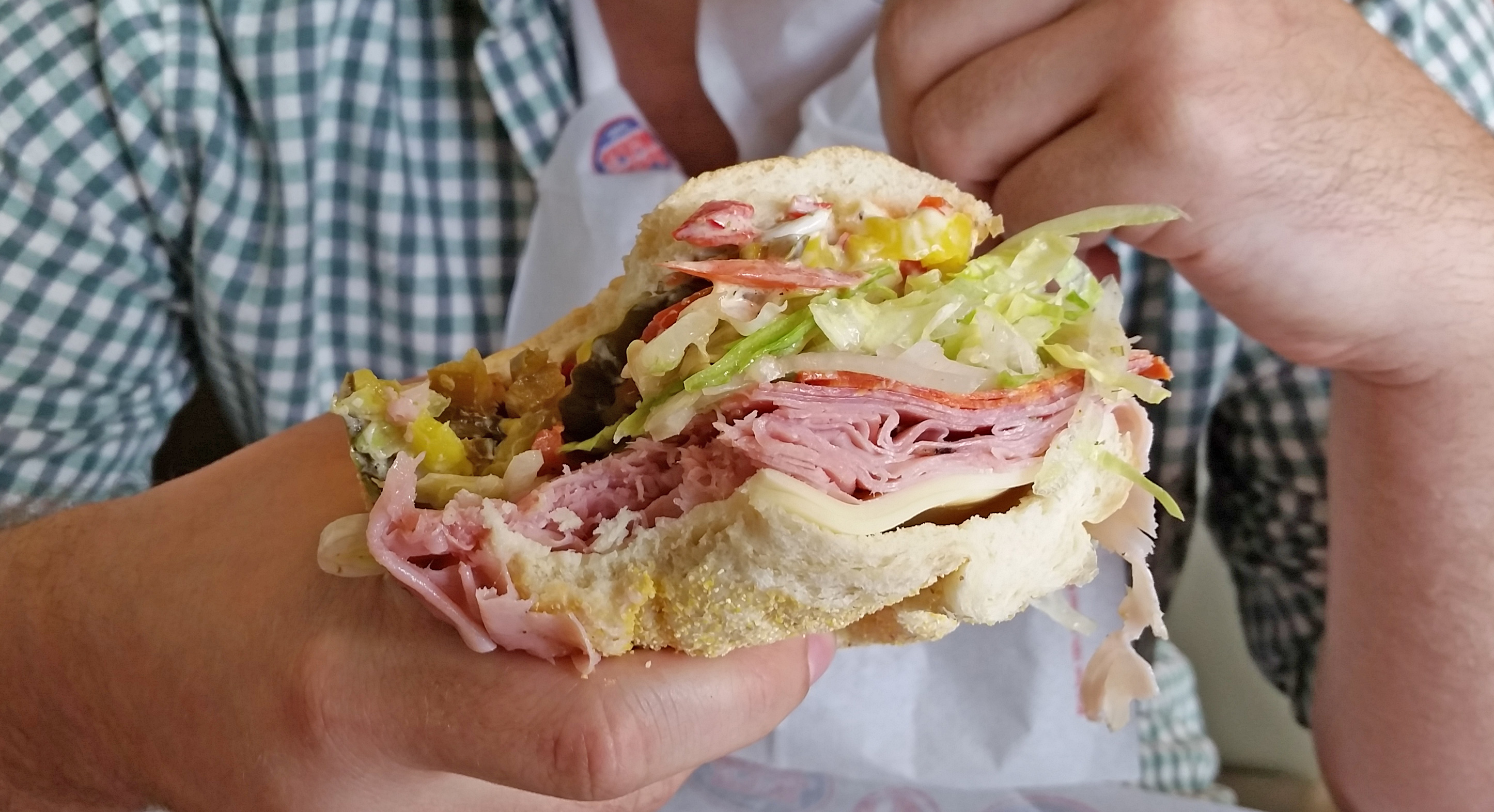 Italian Sub (Hoagie) No. 3 Sandwich Portraits
