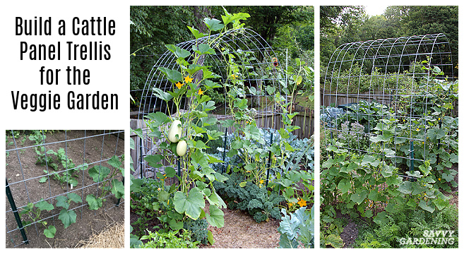 We did not find results for: Cattle Panel Trellis How To Build A Diy Vegetable Garden Arch