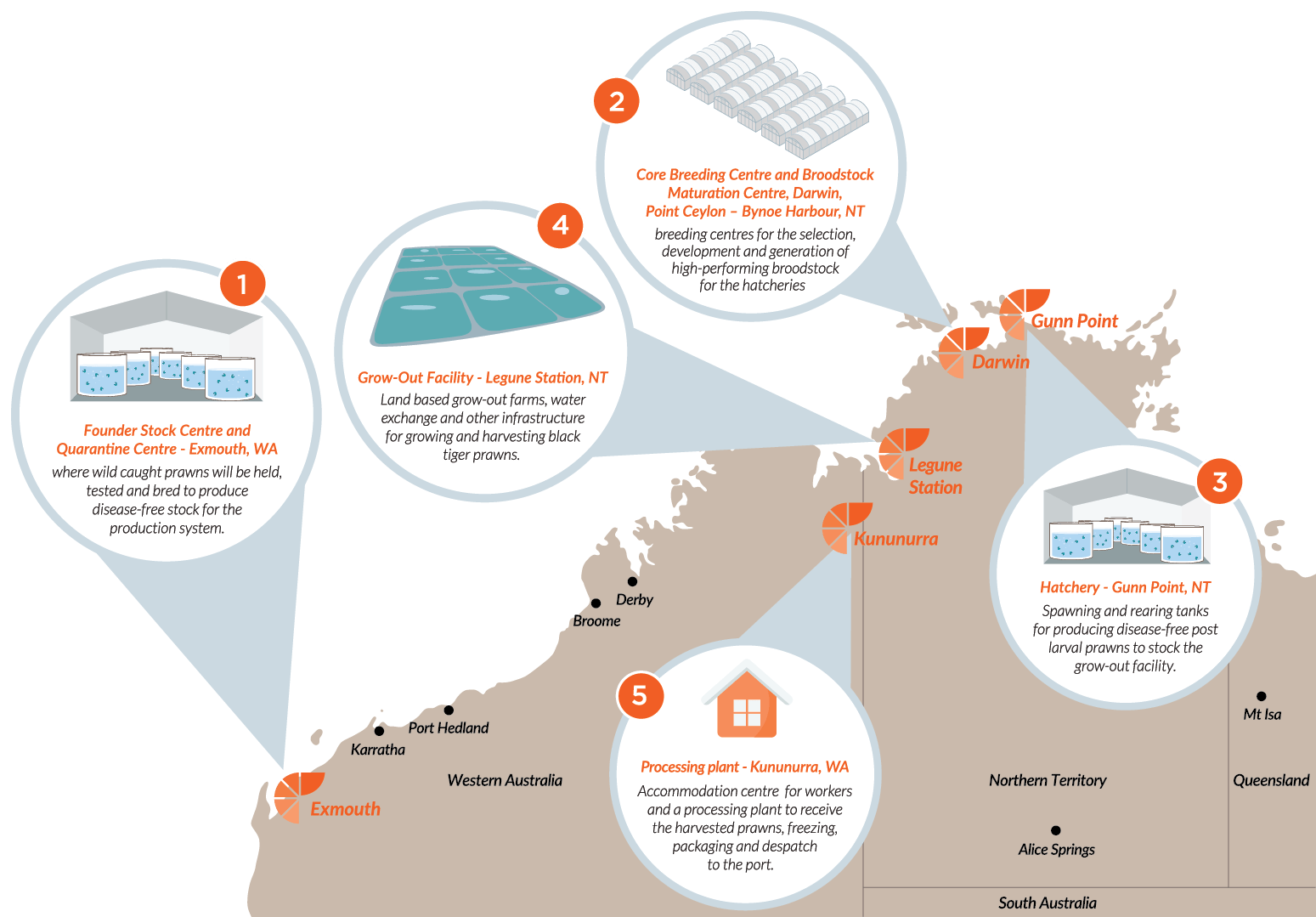 About Project Sea Dragon Seafarms Group Limited