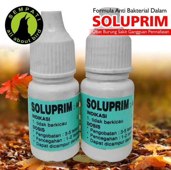 Soluprim Obat Burung Sakit Serak Pilek Tidak Berkicau Volume Suara Lemah Sempati Bird Shop