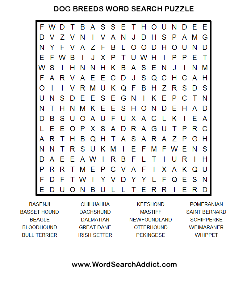 Here Is A Family Fun Puzzle! Sit Means Sit ClevelandAkron