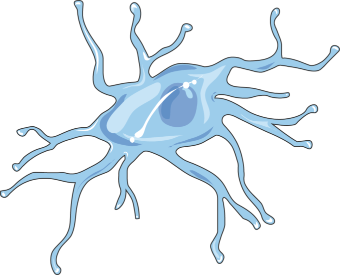 Microglia Servier Medical Art