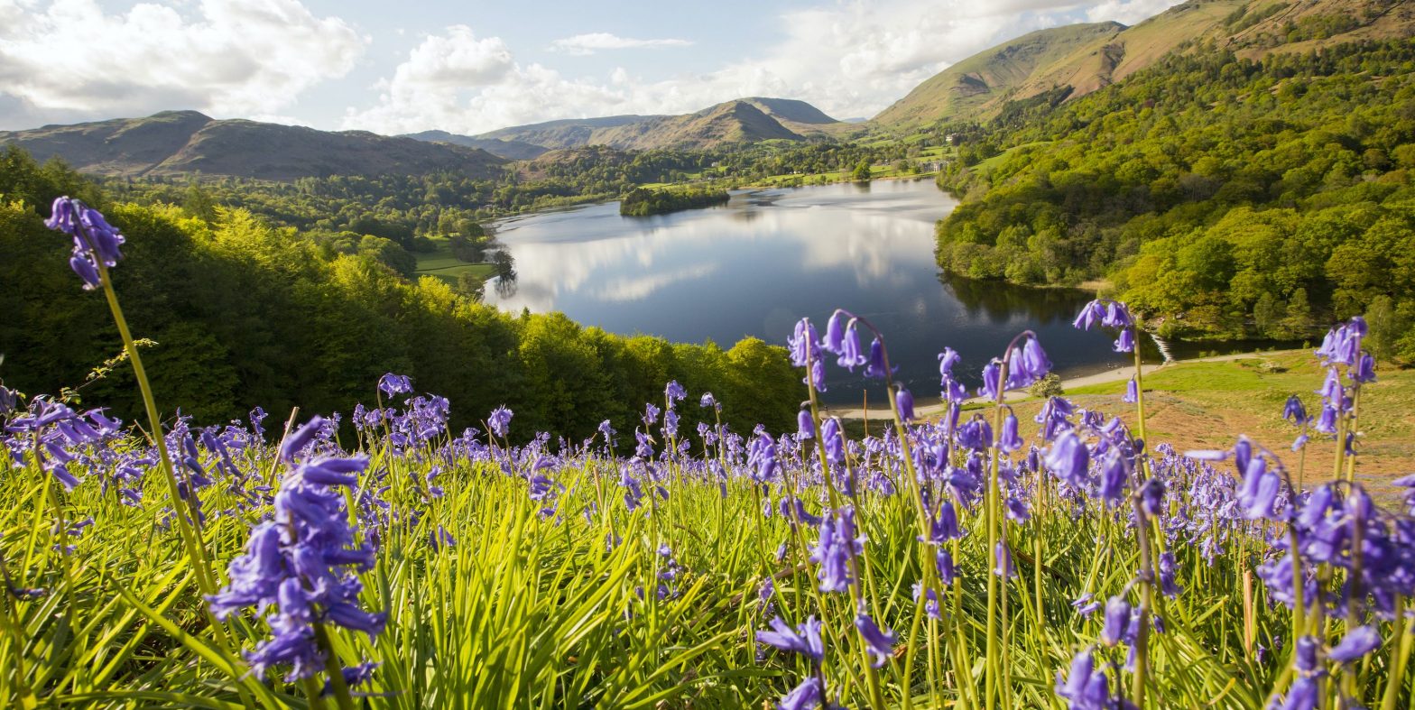 When Does Spring Start In New Zealand 2021 Spring 2022