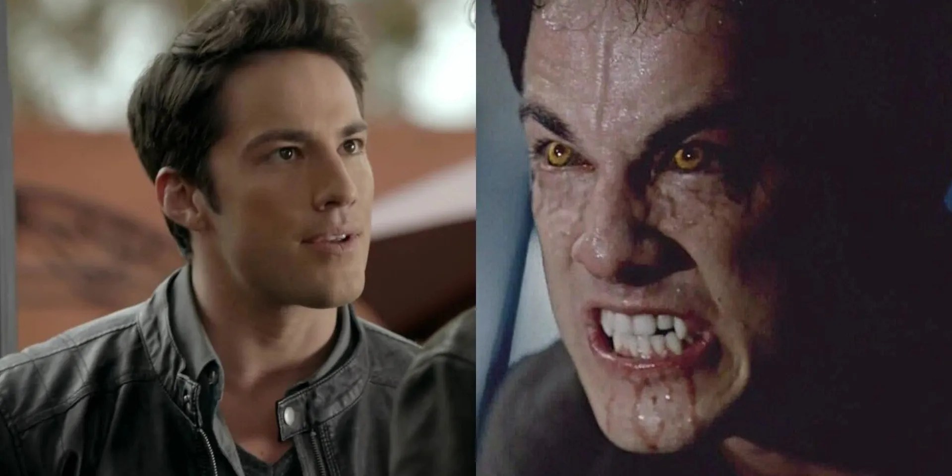 Vampire Diaries Werewolf Form