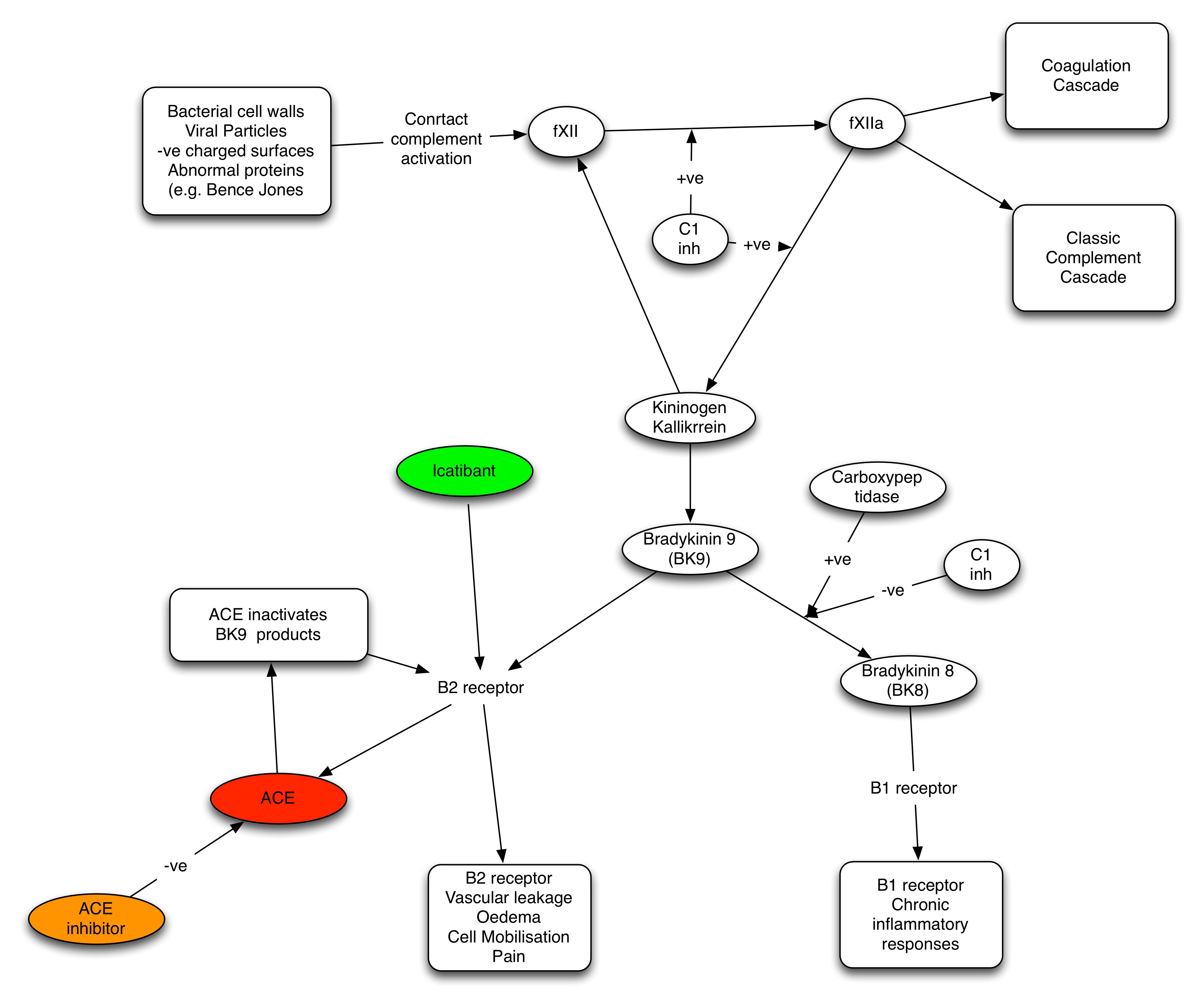 ACE Inhibitor-Induced Angioedema: a Review PubMed