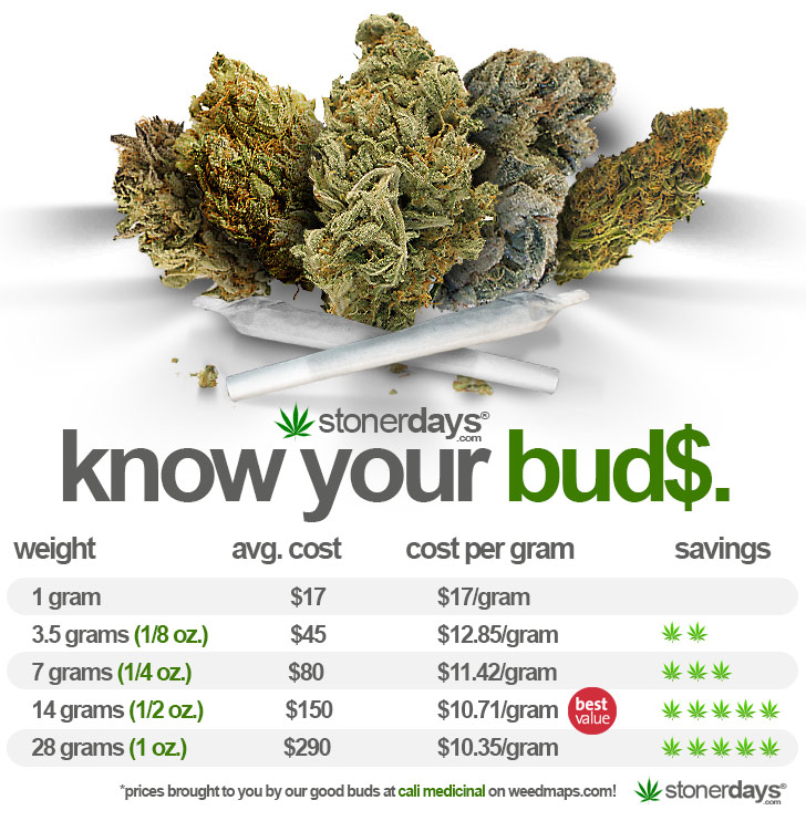 Stoners Guide to Saving Green marijuana quick tips to