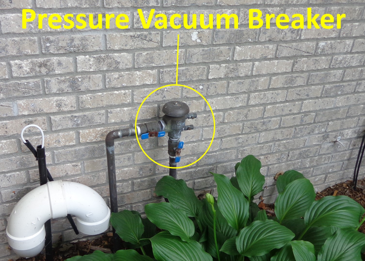 Pressure Vacuum Breaker Leaking From Top - Apartments and Houses for Rent