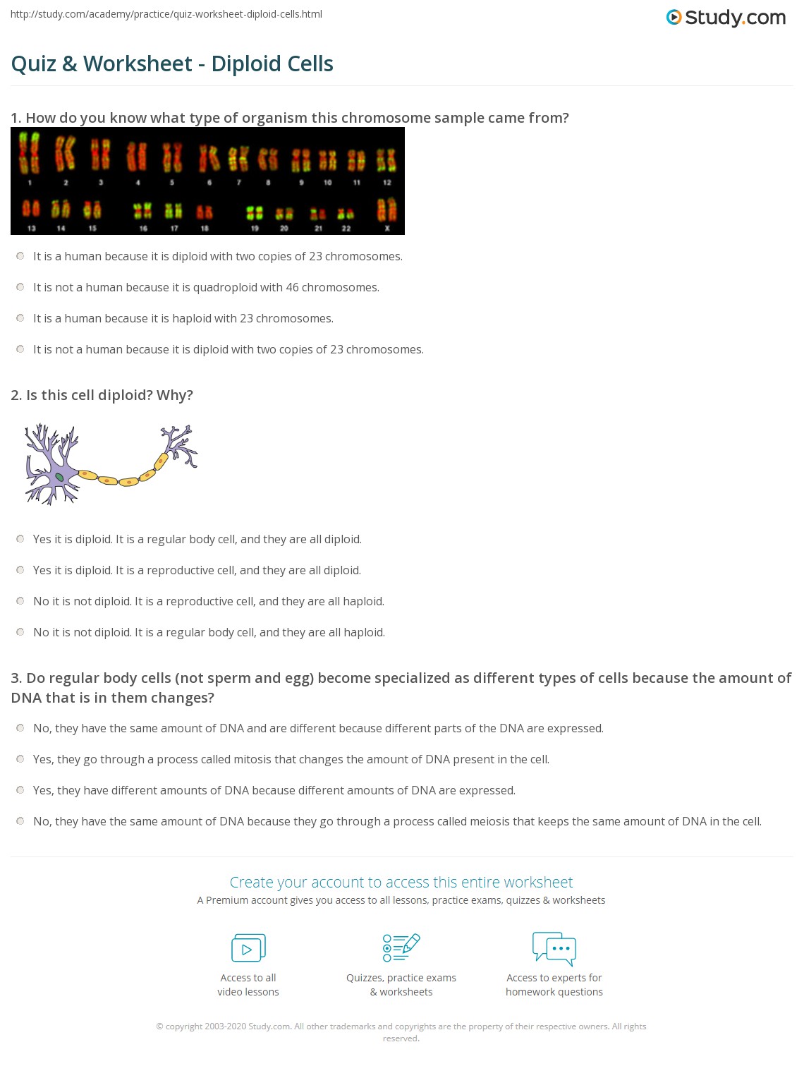 Quiz & Worksheet Diploid Cells