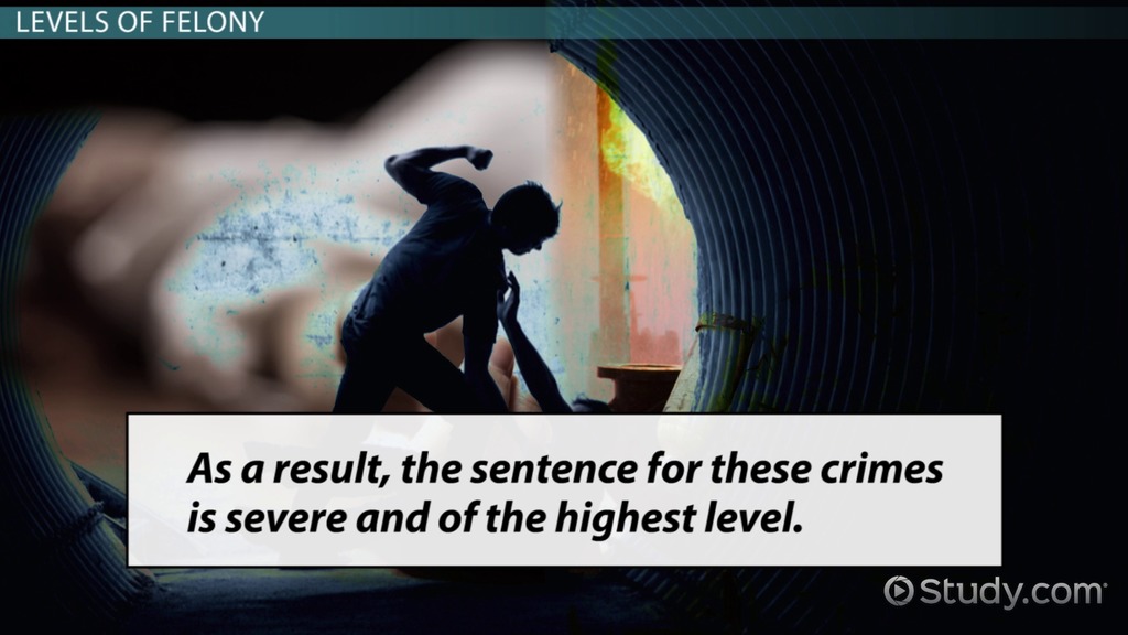 What Are Felonies? Definition, Types & Levels Video