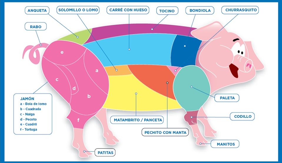 La carne de cerdo y sus cortes