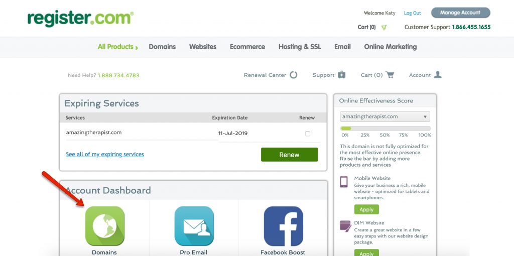 Preparing Your Domain for Transfer Brighter Vision
