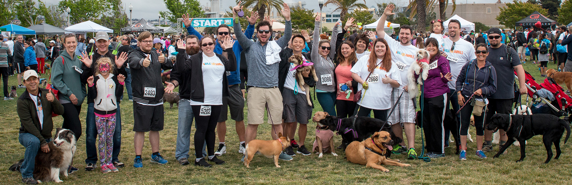 2018 Walk for Animals San Diego San Diego Humane Society