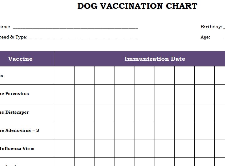 Dog Vaccination Chart » Template Haven