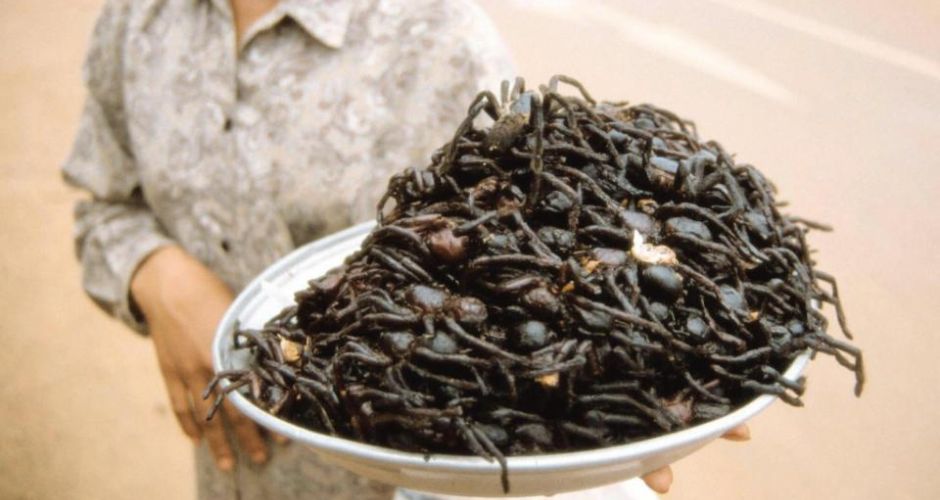 10 Scary Foods You Won’t Want to Eat The List Love