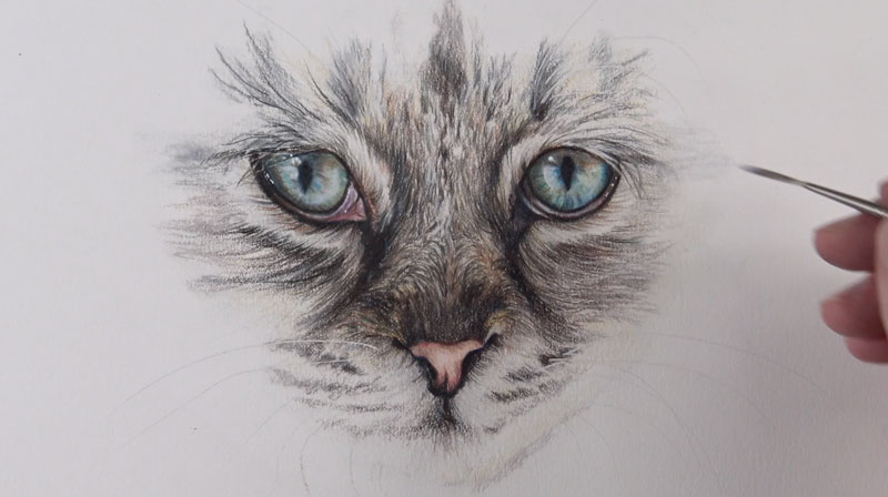 How to Draw Cat Eyes with Colored Pencils