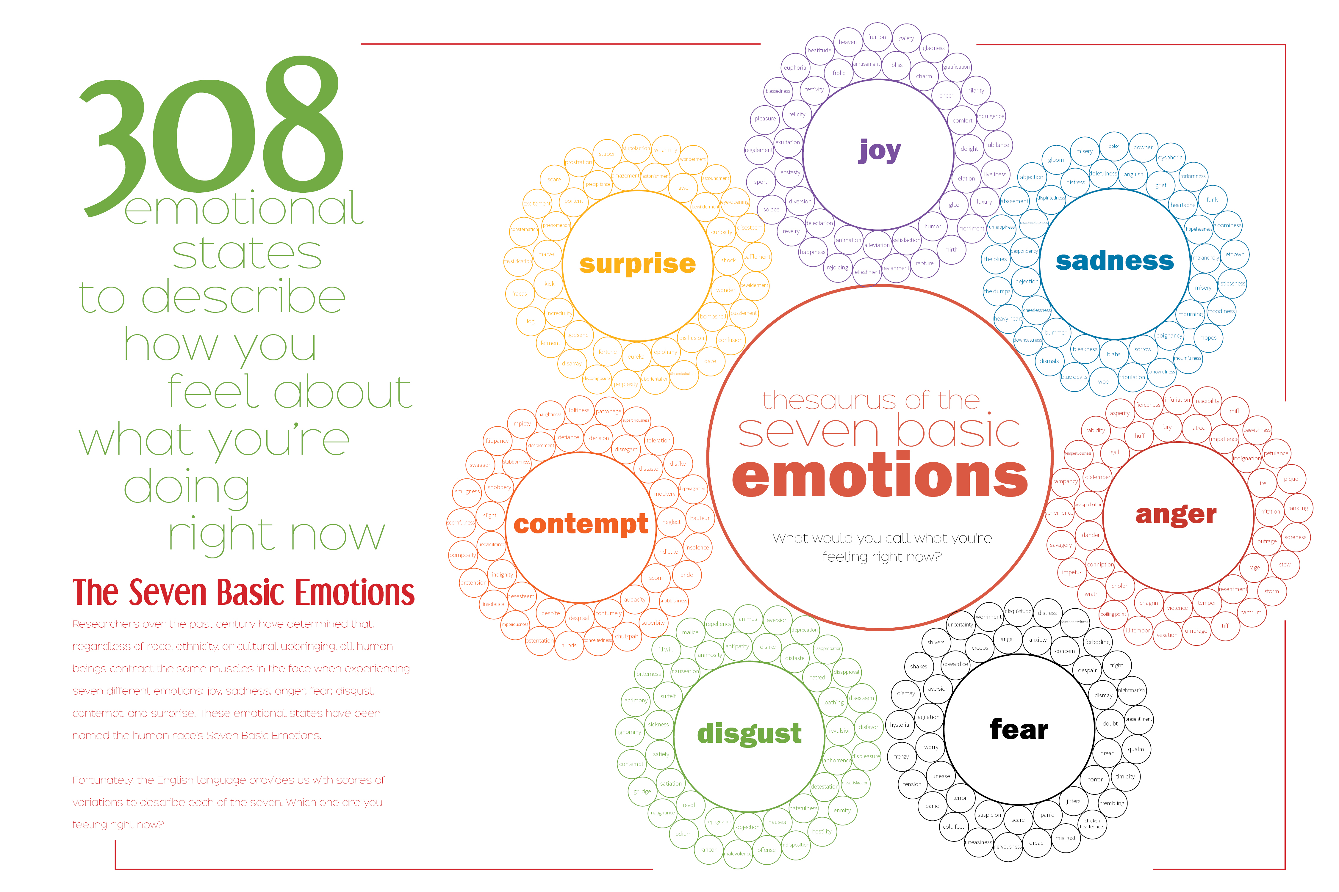 Thesaurus of the Seven Basic Emotions 308 Ways to Describe How You