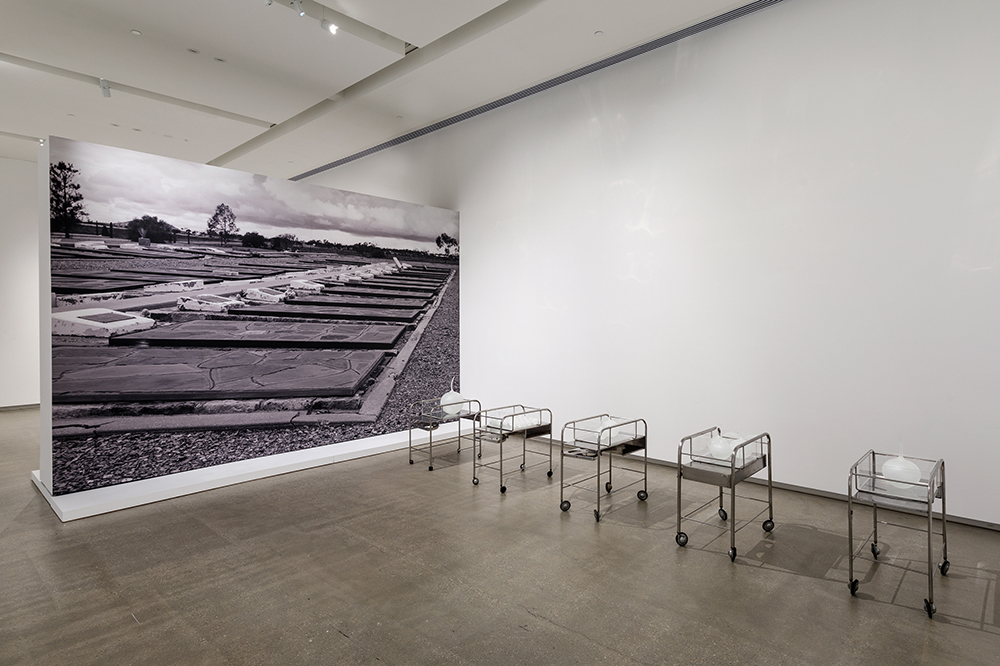 TarraWarra Museum of Art Looking Glass Yhonnie Scarce and Judy Watson This Is No Fantasy