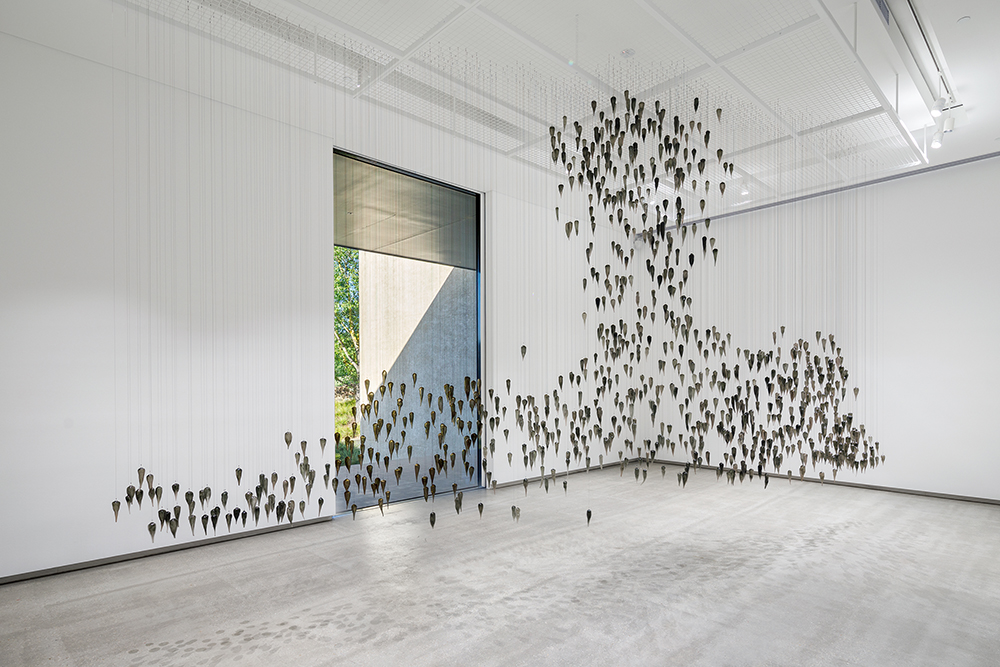 TarraWarra Museum of Art Looking Glass Yhonnie Scarce and Judy Watson This Is No Fantasy