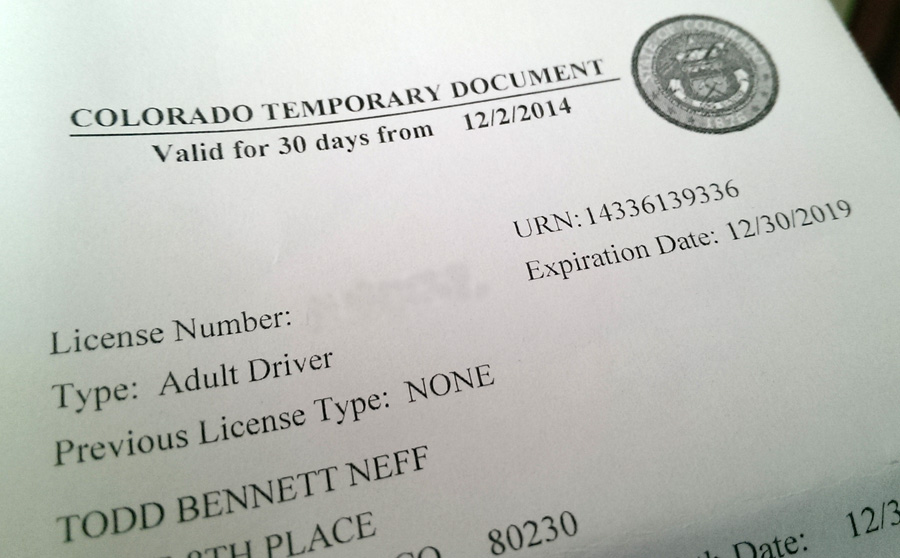 Colorado Drivers License Previous Type N Cement Wag & Paws