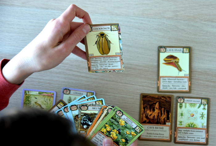 *ECOLOGIES BIZARRE BIOMES* Food Chain Science Card Game
