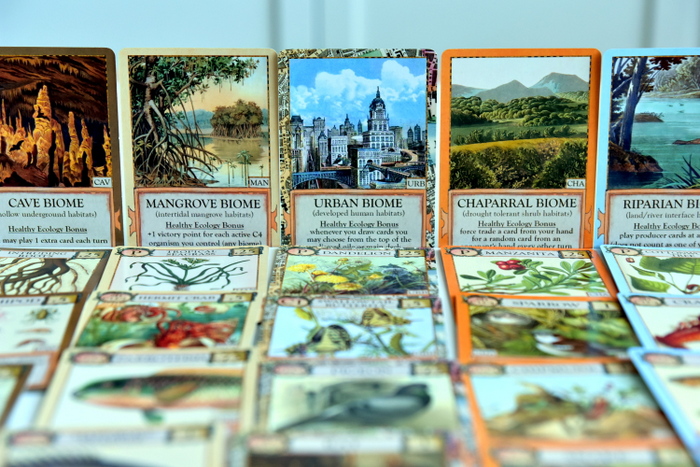 Ecologies Card Game Etsy Tic The Card Game Customizable