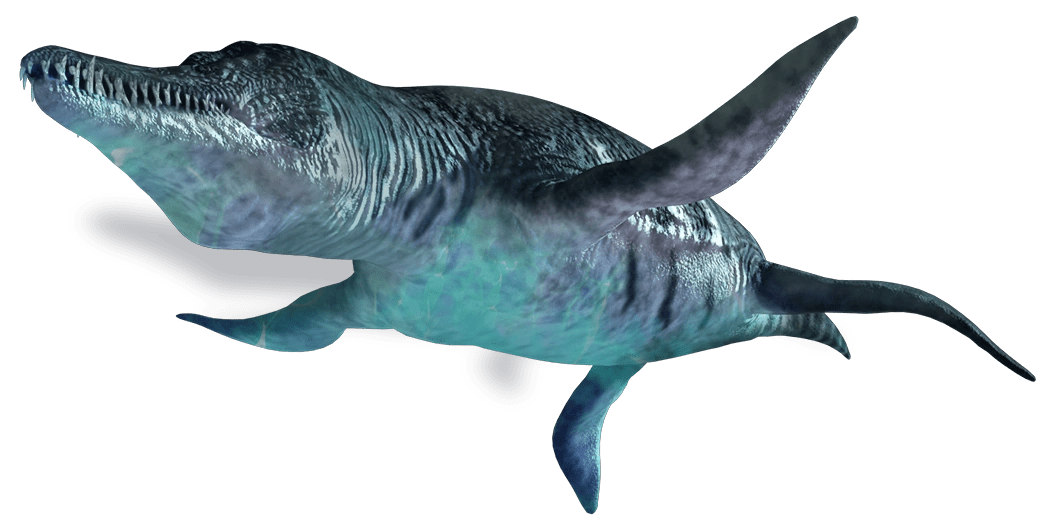 CategoryMarine Dinosaur Wiki Fandom powered by Wikia