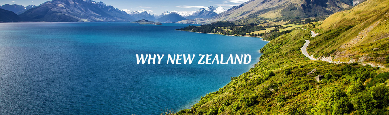Why New Zealand Delhi Visa Services