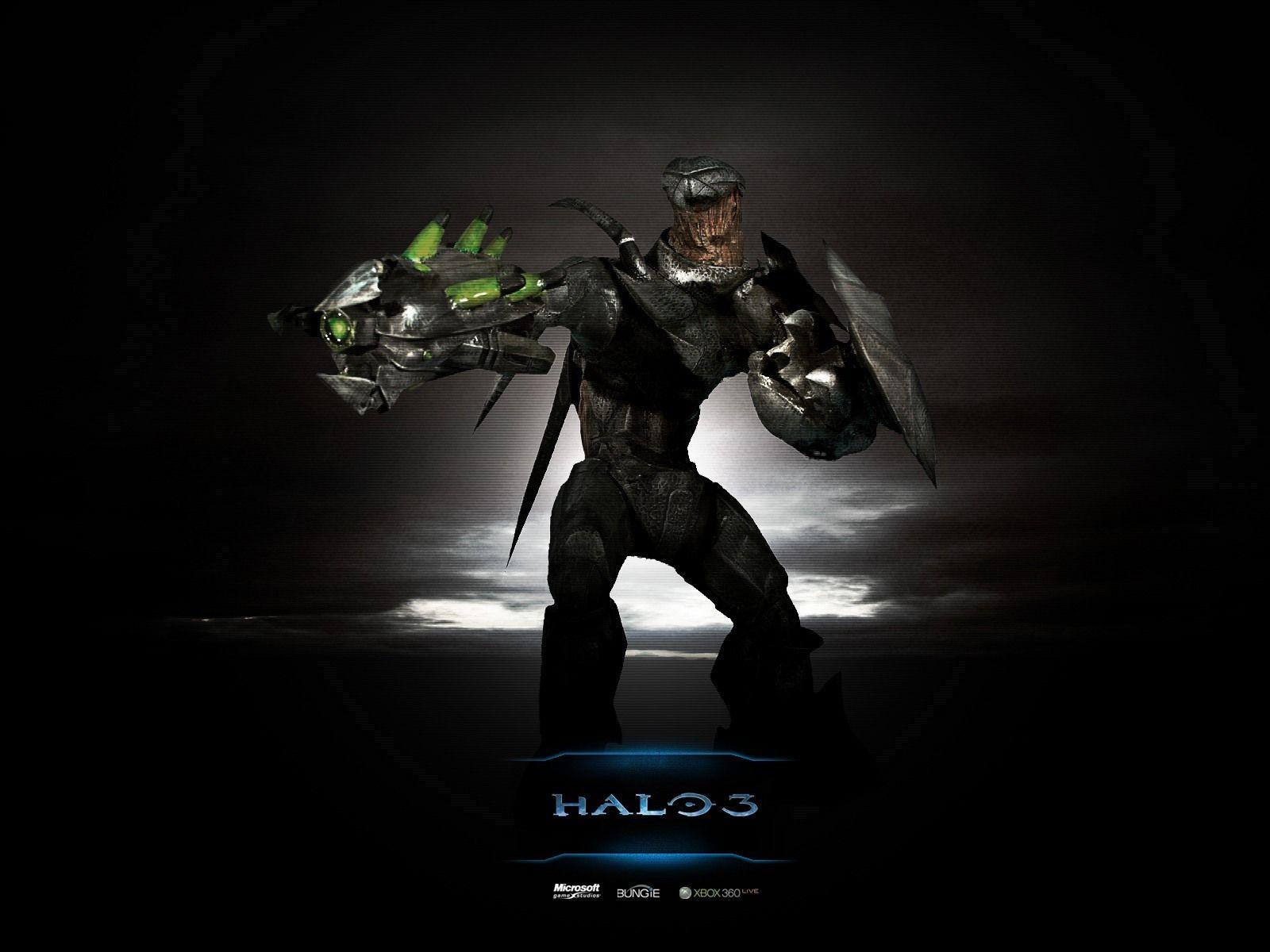 Funny Halo Wallpapers Wallpaper Cave