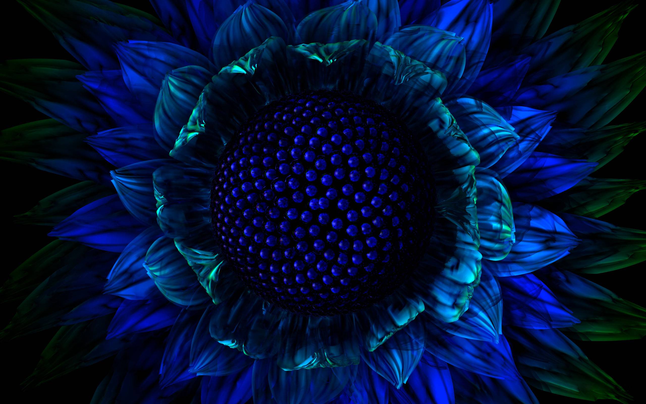 Exotic Flower Wallpapers Wallpaper Cave