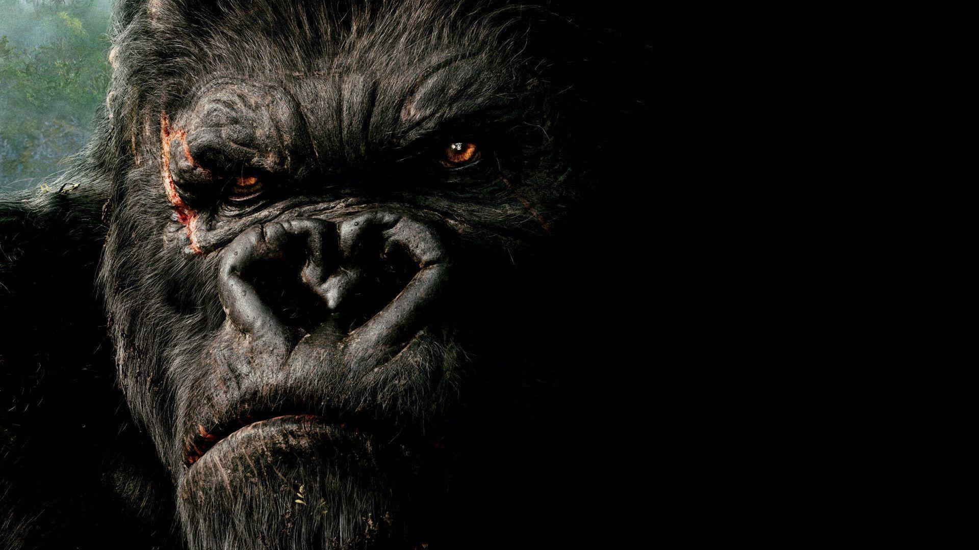 King Kong Wallpapers Wallpaper Cave