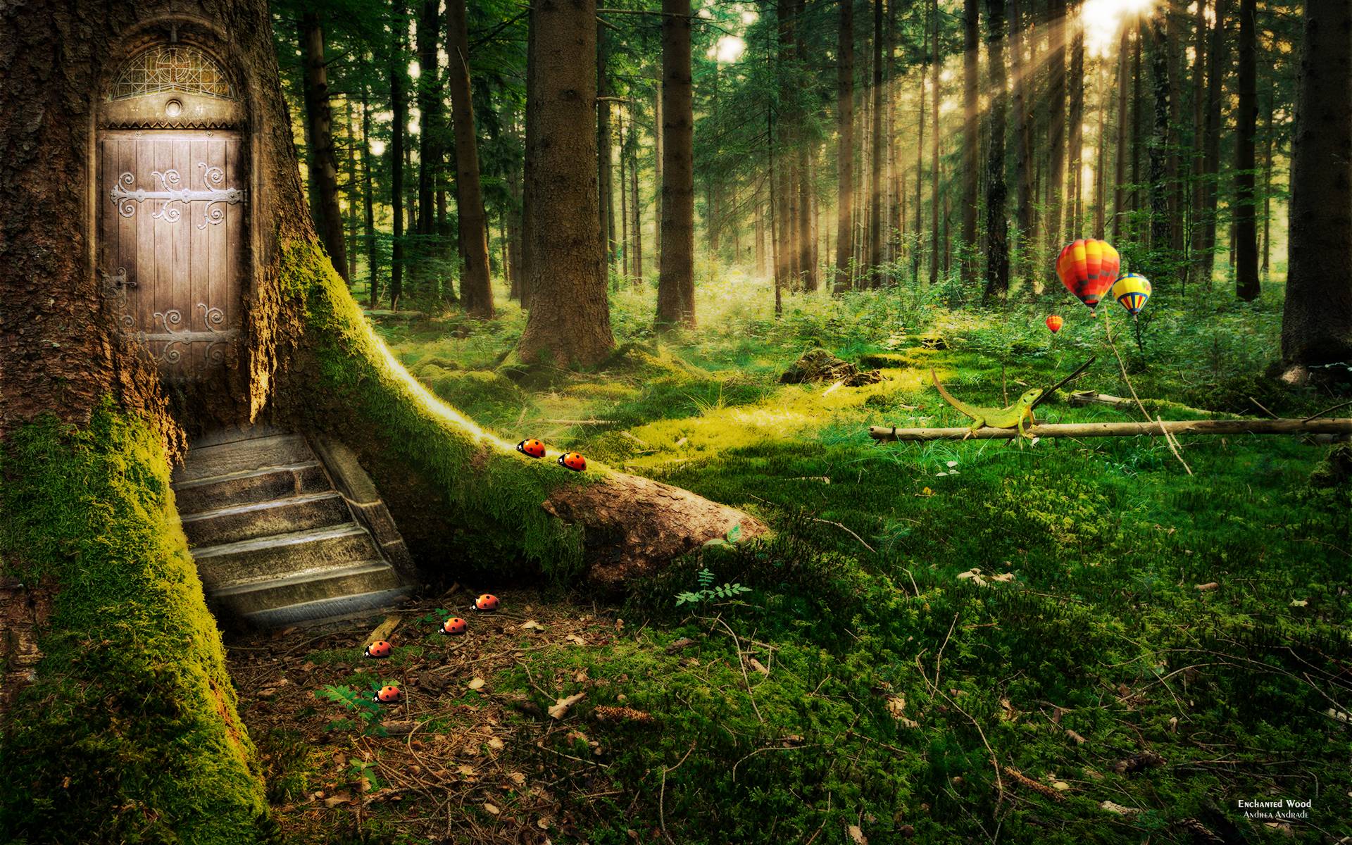 Enchanted Forest Backgrounds Wallpaper Cave