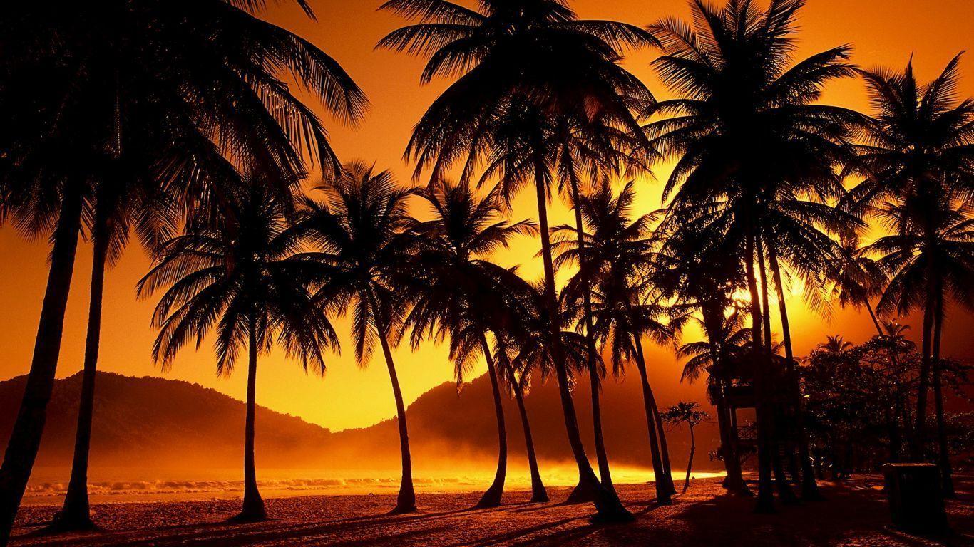 1366x768 Wallpapers HD Wallpaper Cave