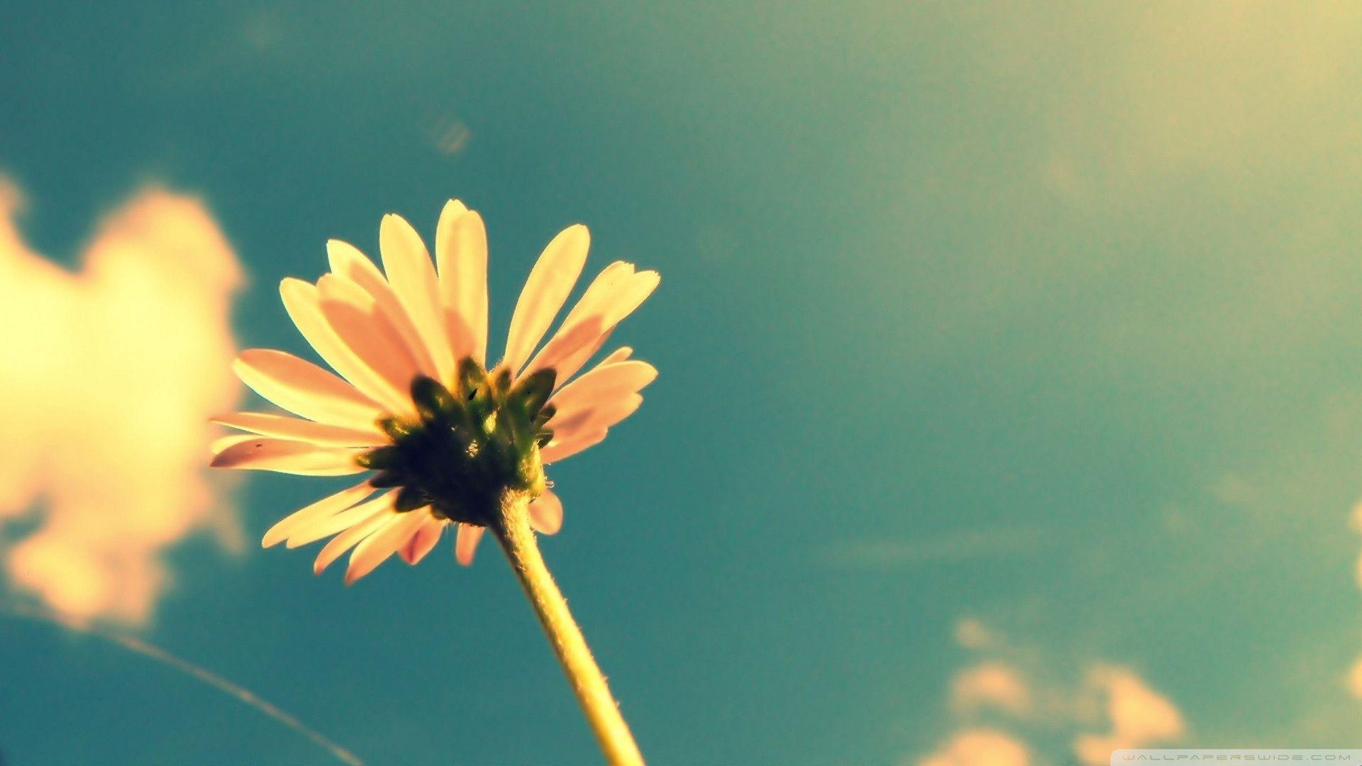 Vintage Wallpapers HD Wallpaper Cave