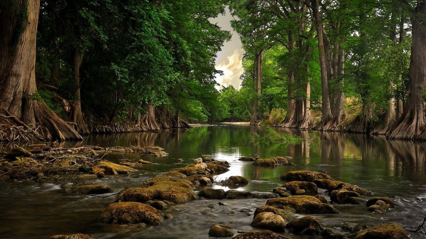 1366x768 Wallpapers HD Wallpaper Cave