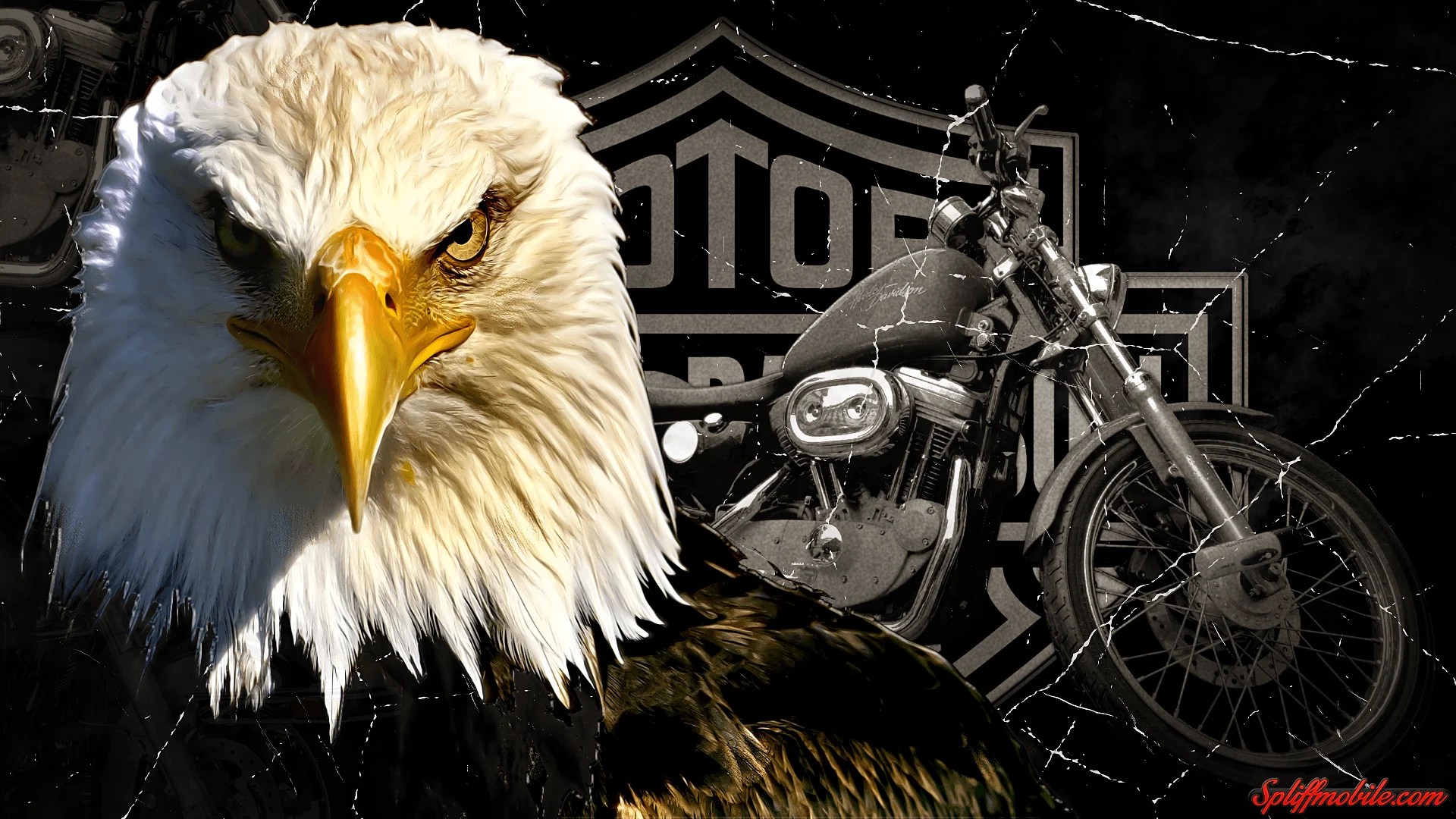 Harley Davidson Wallpapers Wallpaper Cave