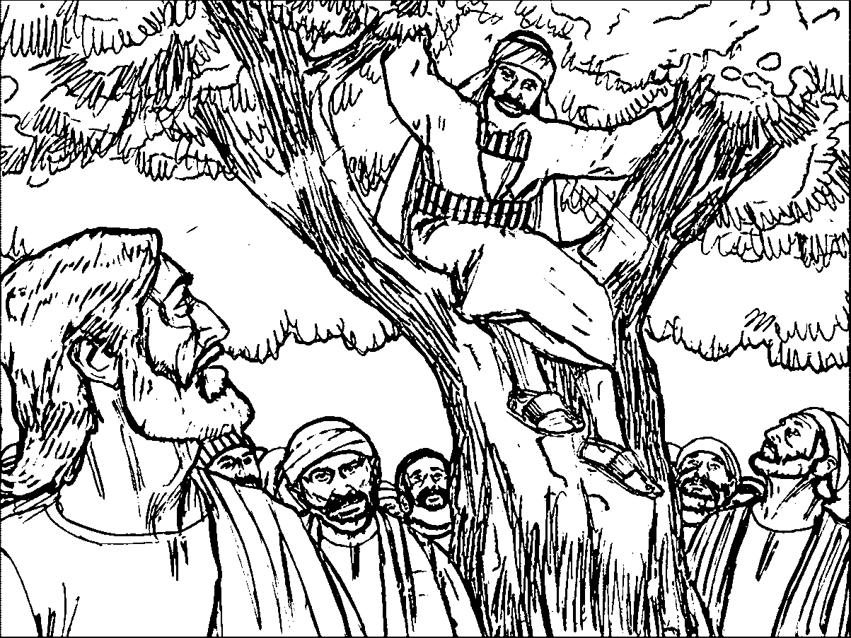 Zacchaeus Jesus Tree Coloring Page