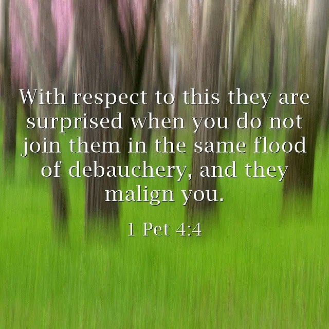 What Does Debauchery Mean? A Biblical Definition of