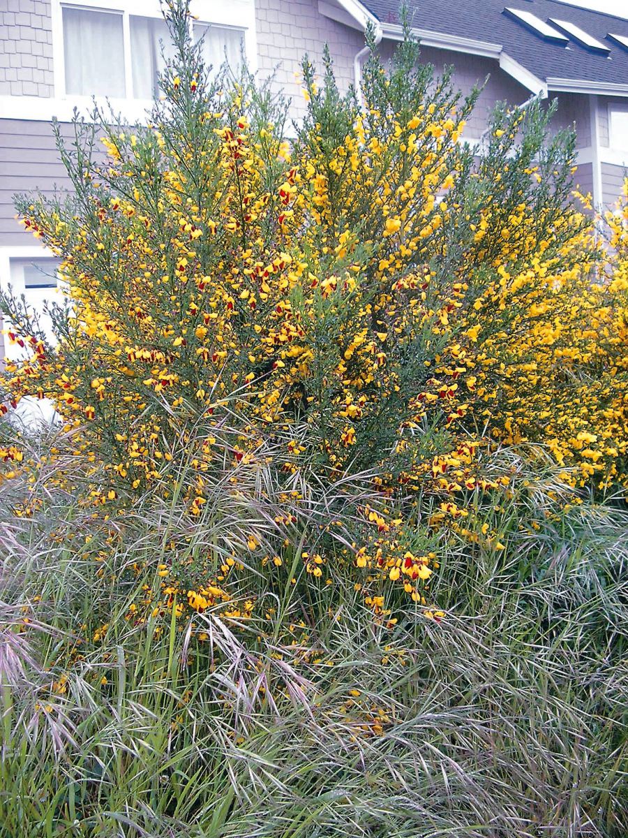 Know Thy Enemy — Outsmarting Your Garden