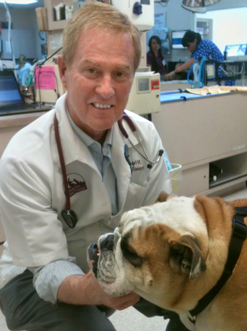 Las Vegas Veterinarian Wins National Award from Pets Best