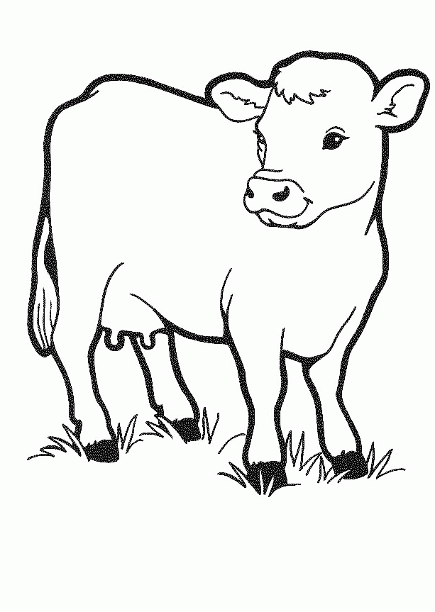 Coloriage de vache a imprimer gratuit 1001 Animaux