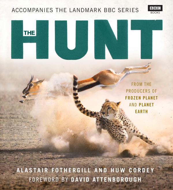 Best Wildlife Coffee Table Books Aardvark Safaris