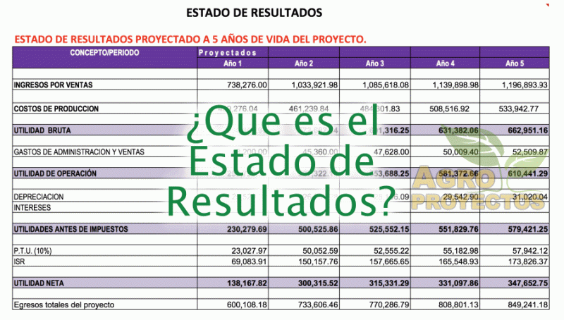 ¿Que es el Estado de Resultados? Agroproyectos